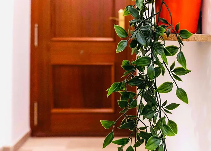 Centro Historico. A 200 M De La Playa 公寓 *