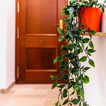 Centro Historico. A 200 M De La Playa Appartement *